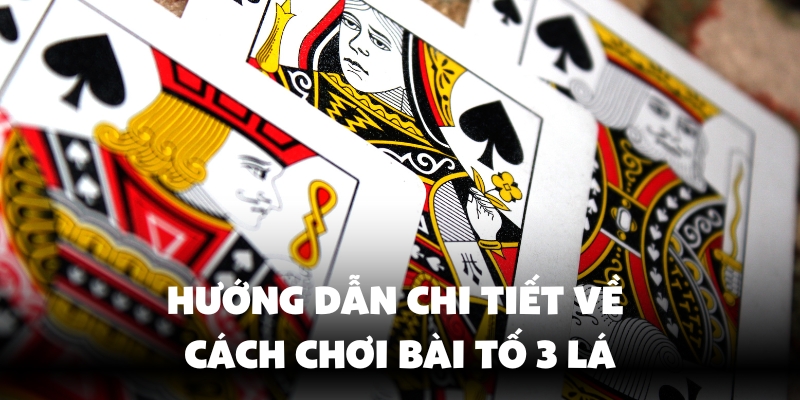 Cách Chơi Bài Tố 3 Lá - Bí Quyết Thắng Nhờ Vào Cao Thủ Ev88 3 Cách chơi bài tố 3 lá chi tiết nhất