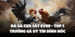 da ga cua sat ev88