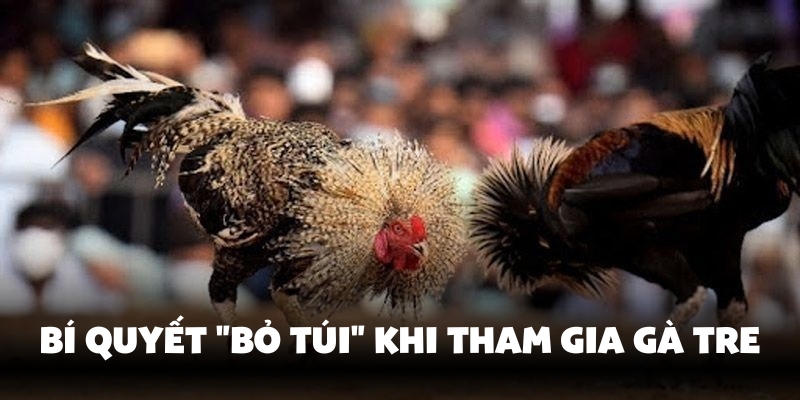 Mẹo chơi đá gà hay tại Ev88