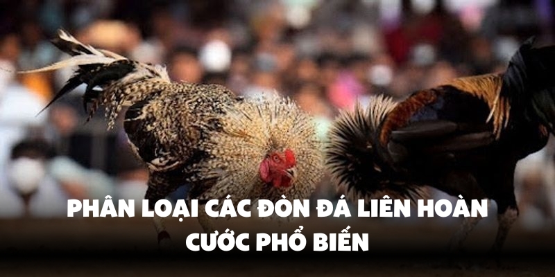 Kỹ thuật chiến đấu độc đáo