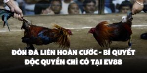 don da lien hoan cuoc