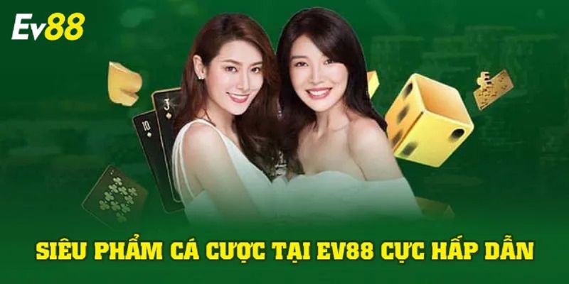 Trang chủ 14 Những dịch vụ sản phẩm đang hoạt động tại sân chơi